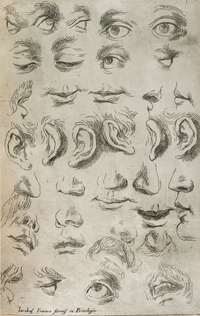 Eyes, Noses, Mouths And Ears