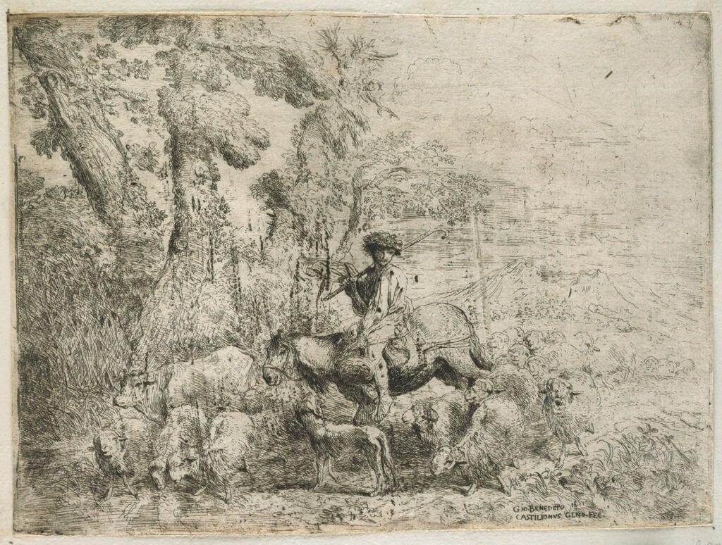 Young Herdsman On Horseback