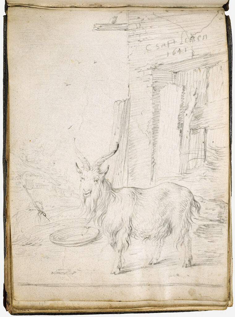 A Goat In A Barnyard