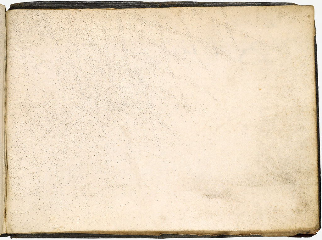 Blank Page; Verso: Sketch Of Foliage(?)