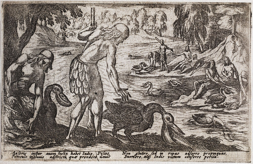 Hunters Using Pelicans To Capture Fish