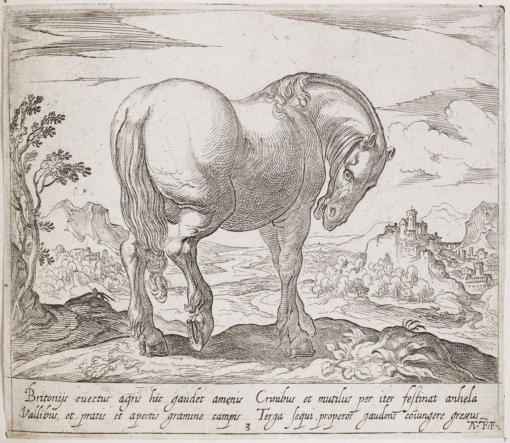 A Standing Horse, With Lowered Head, Facing Right