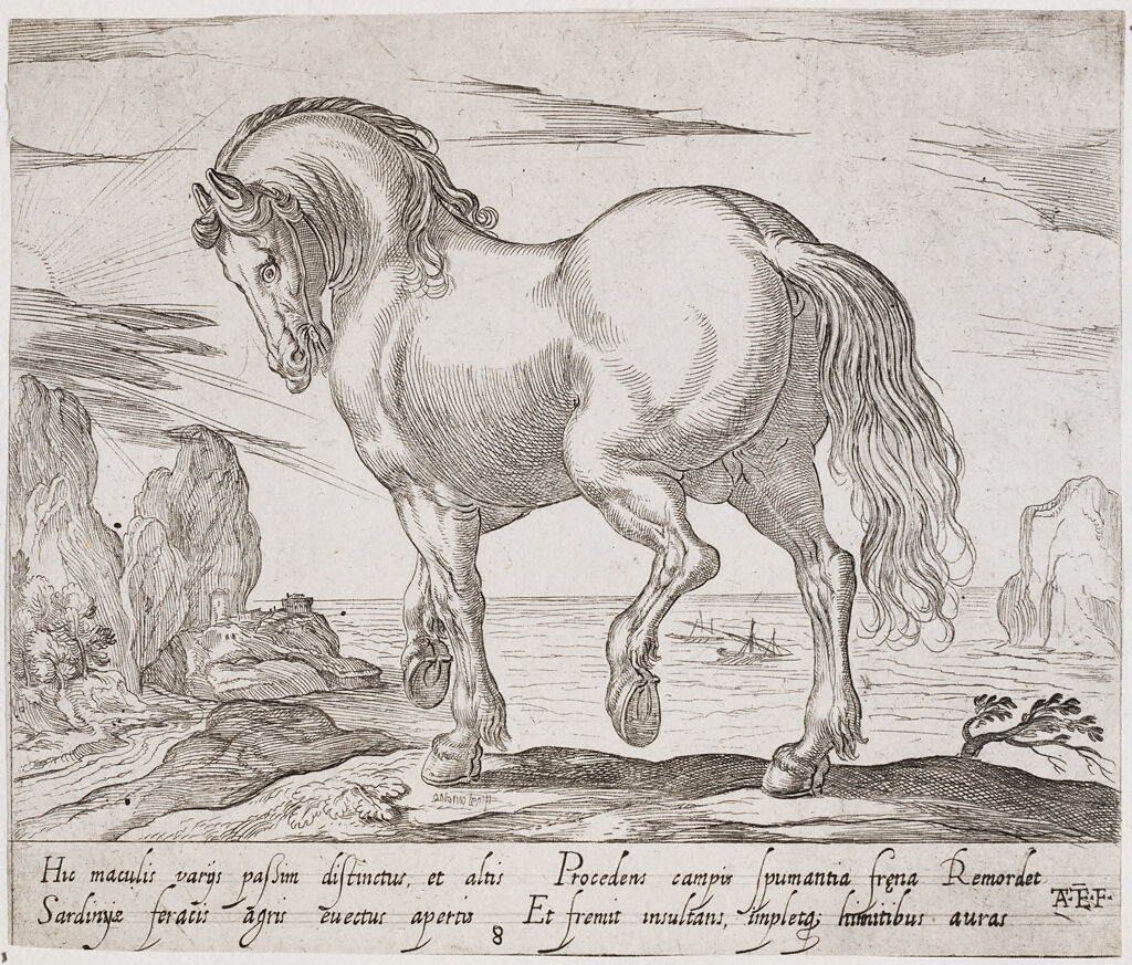 A Standing Horse Facing Left, Before A Seascape