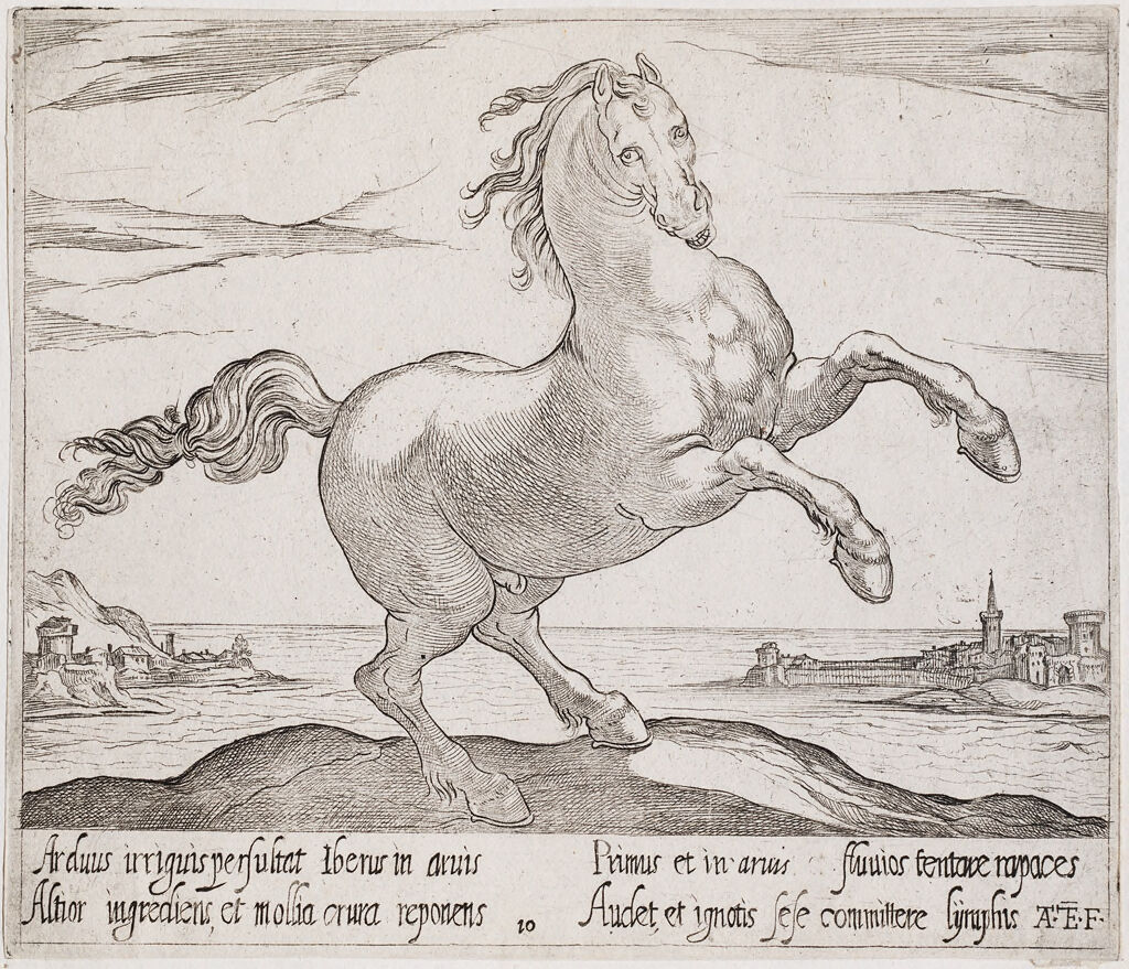A Rearing Horse, Facing Right, Before A Seascape