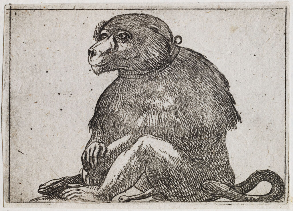Seated Primate