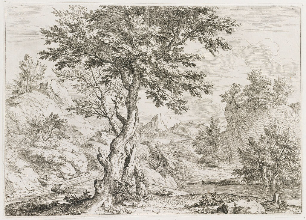 Landscape With Two Trees Crossed