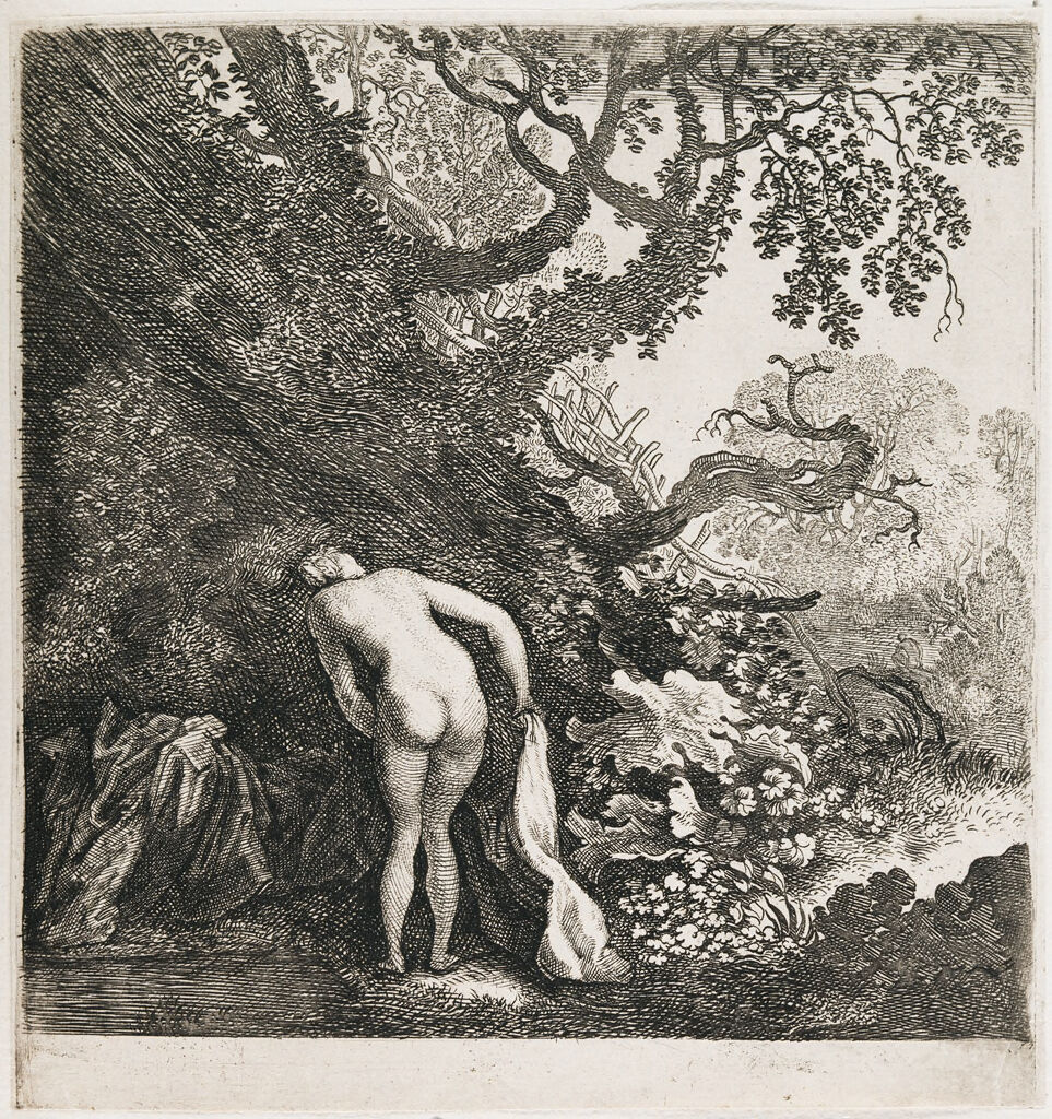 A Woman Bathing Seen From Behind