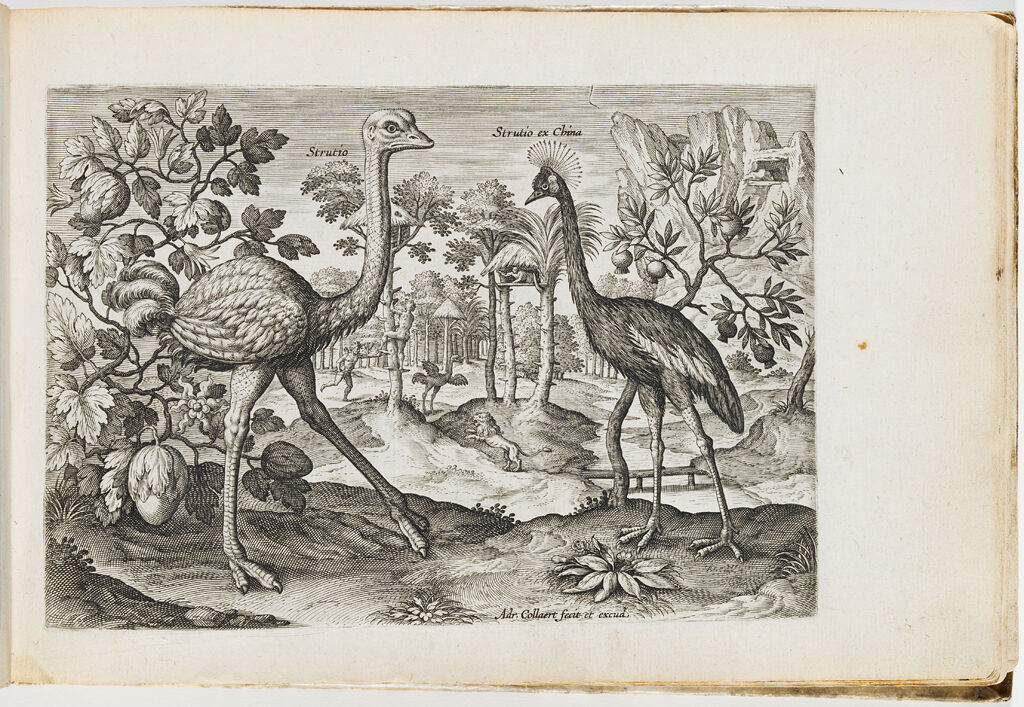 Album Of 16Th-Century Netherlandish Prints And Drawings