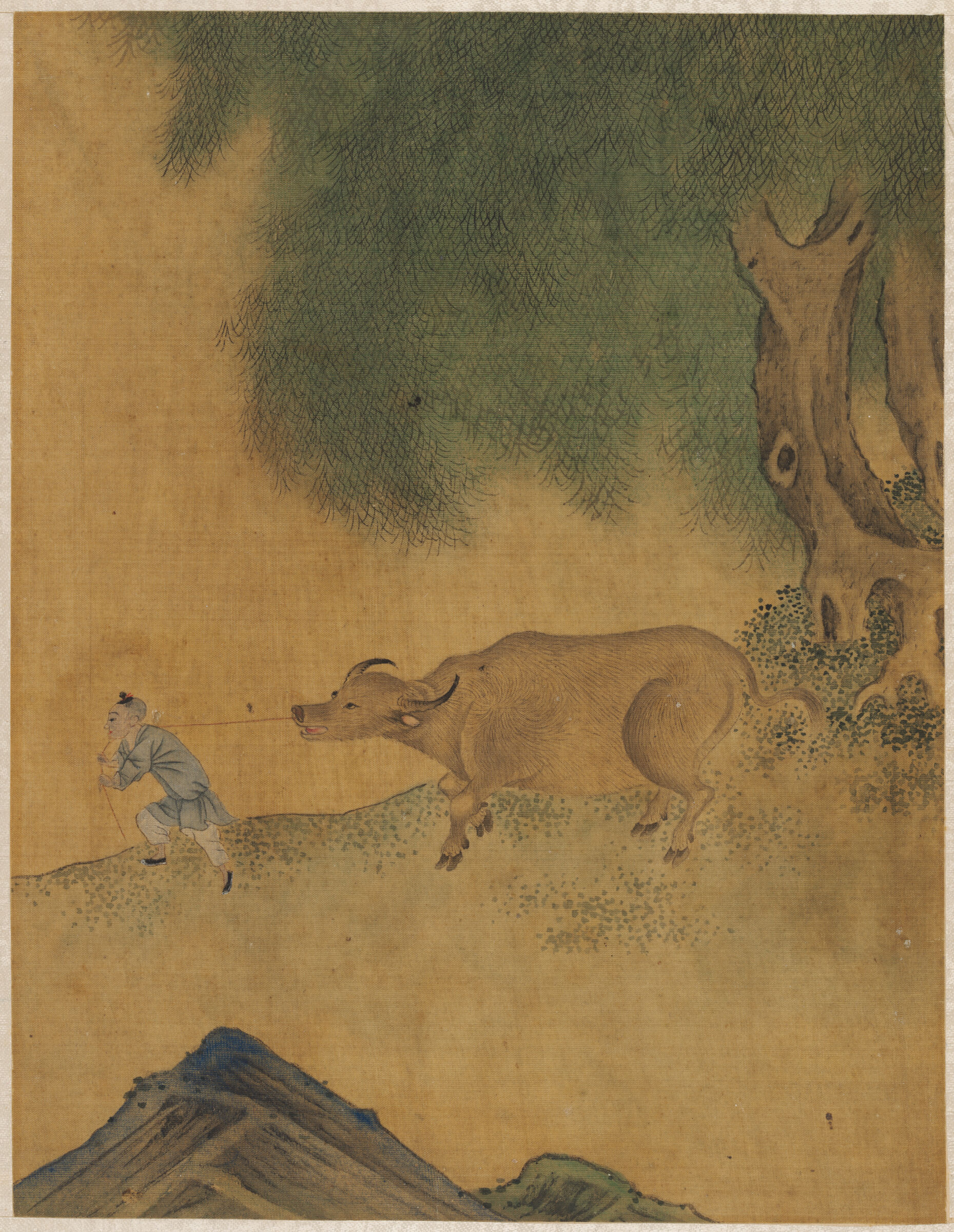 Boy Leading Water Buffalo, From Album Of Paintings