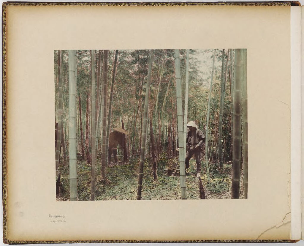 Untitled (Two Men In Bamboo)