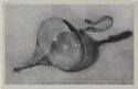 A black and white print of a glass object in the form of a postcard.