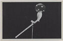 A black and white print of a long white object with a bubble in the form of a postcard.