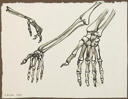 Skeleton Hands, For 