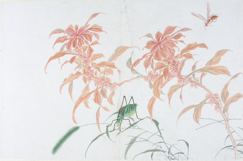 Album Leaf Of Flowers And Insects