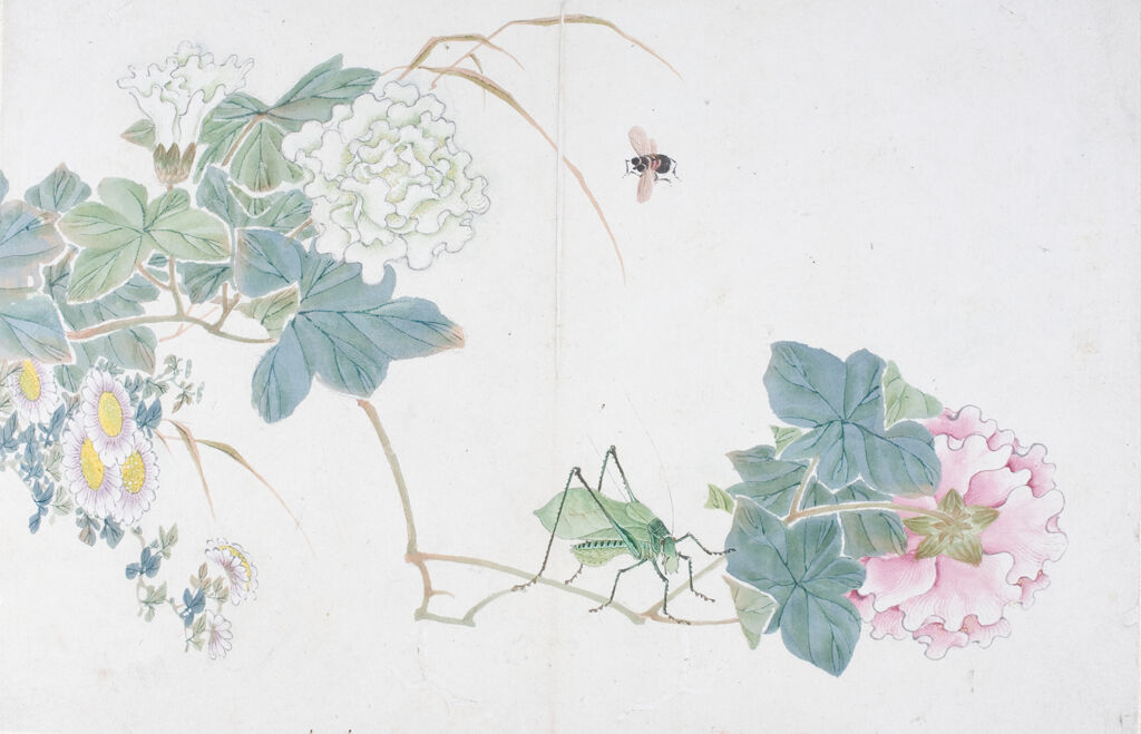 Album Leaf Of Flowers And Insects