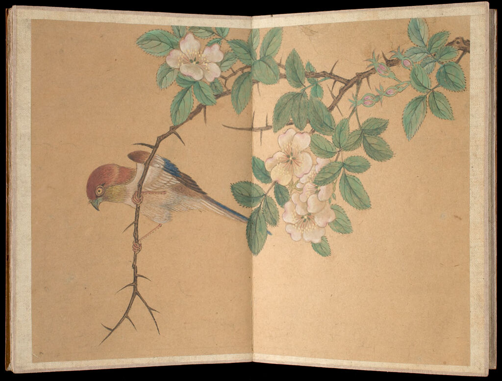 Album Leaf Of Birds And Flowers