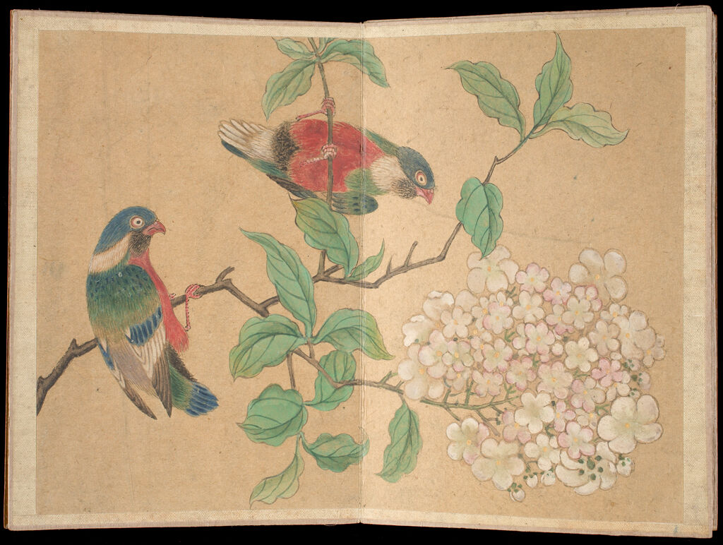 Album Leaf Of Birds And Flowers