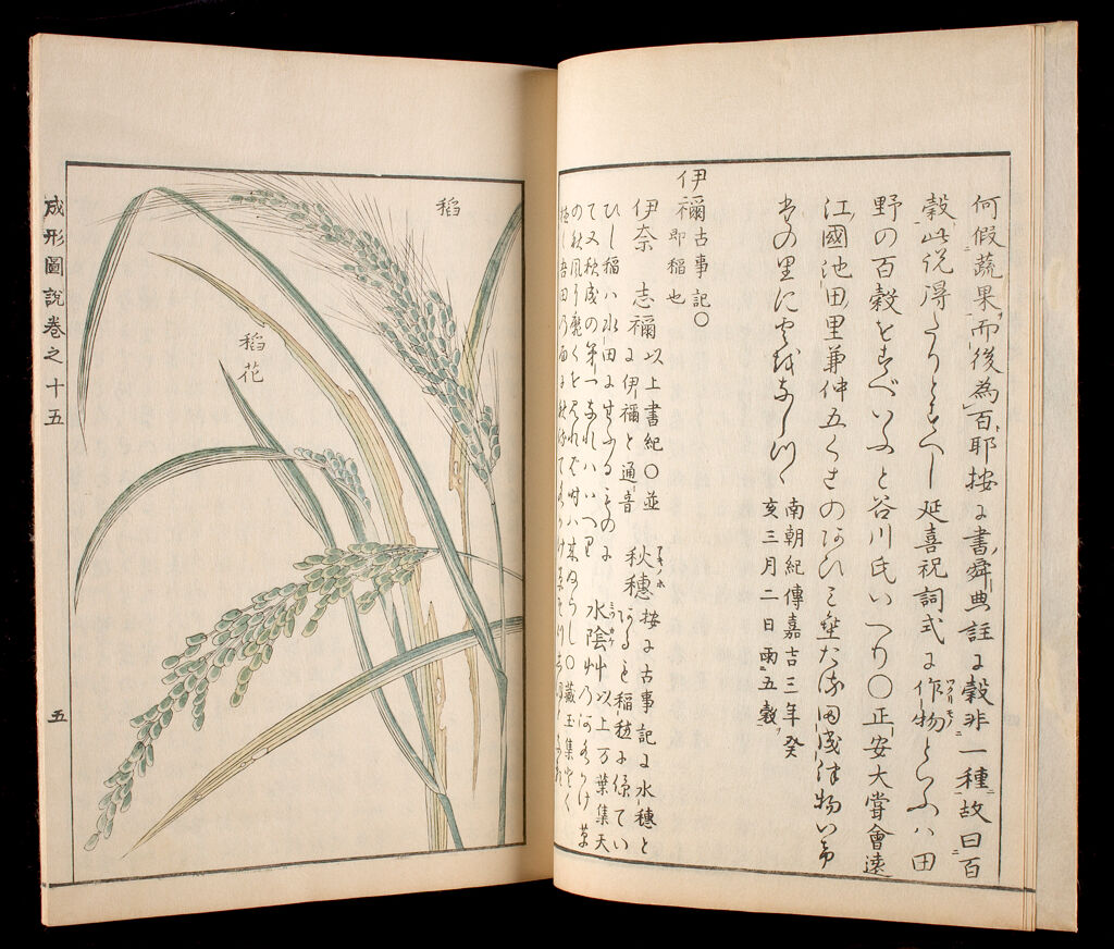 Illustrated Book On Agriculture (Seisei Zusetsu), Satsuma-Edition, Part Ii, Vol. 15
