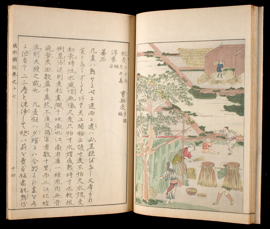 Illustrated Book On Agriculture (Seisei Zusetsu), Satsuma-Edition, Part Ii, Vol. 17