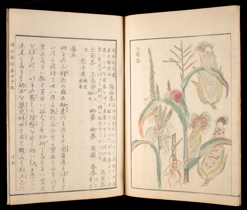 Illustrated Book On Agriculture (Seisei Zusetsu), Satsuma-Edition, Part Ii, Vol. 19
