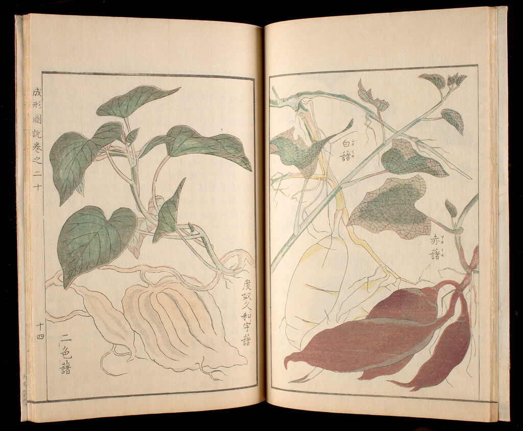 Illustrated Book On Agriculture (Seisei Zusetsu), Satsuma-Edition, Part Ii, Vol. 20