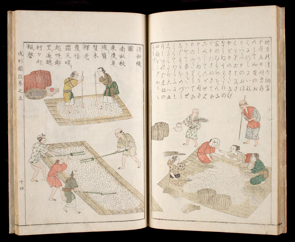 Illustrated Book On Agriculture (Seisei Zusetsu), Satsuma-Edition, Vol. 5