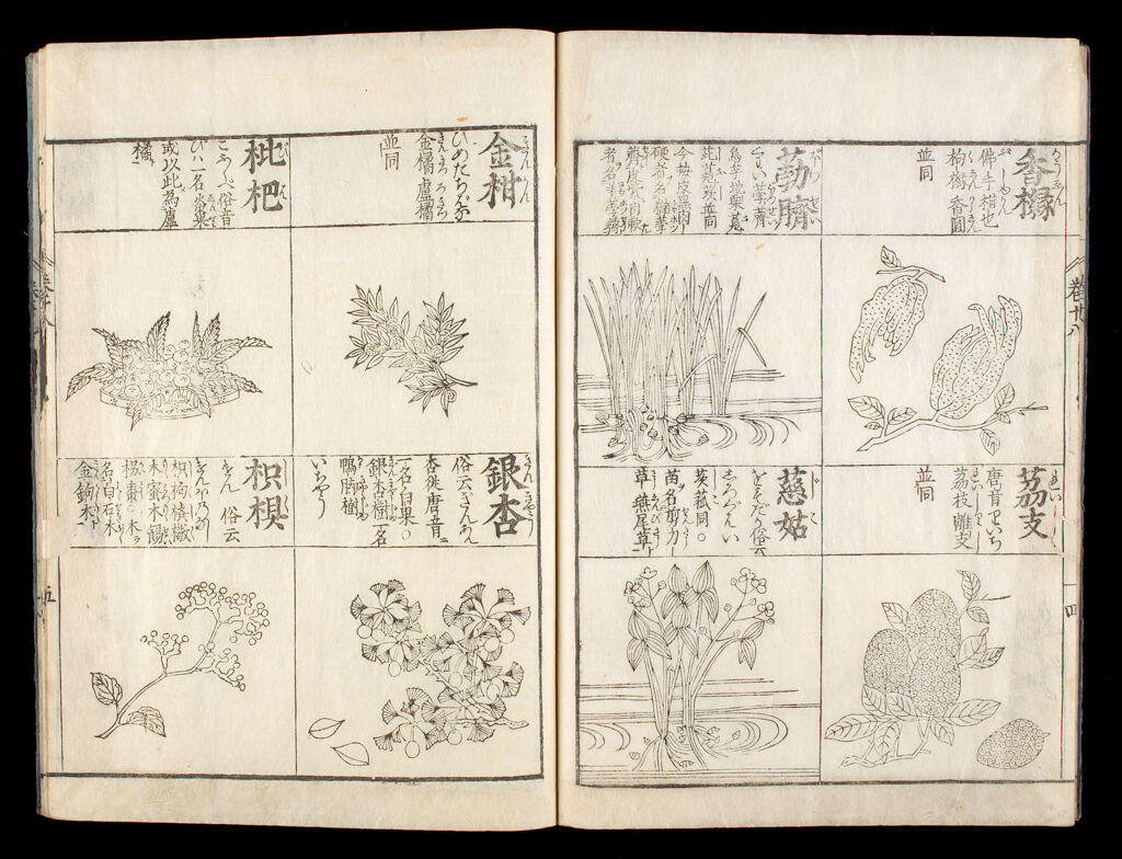 An Illustrated Encyclopedia (Kinmō Zui)