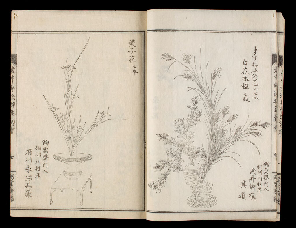 Illustrated Flower Arrangement Of The Enchūrō School (Enchūrō-Ryū Sōka Zue), 1St Of 8 Volumes