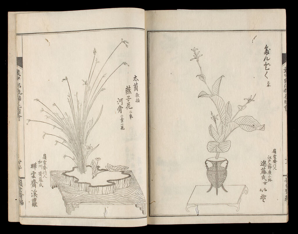 Illustrated Flower Arrangement Of The Enchūrō School (Enchūrō-Ryū Sōka Zue), 2Nd Of 8 Volumes