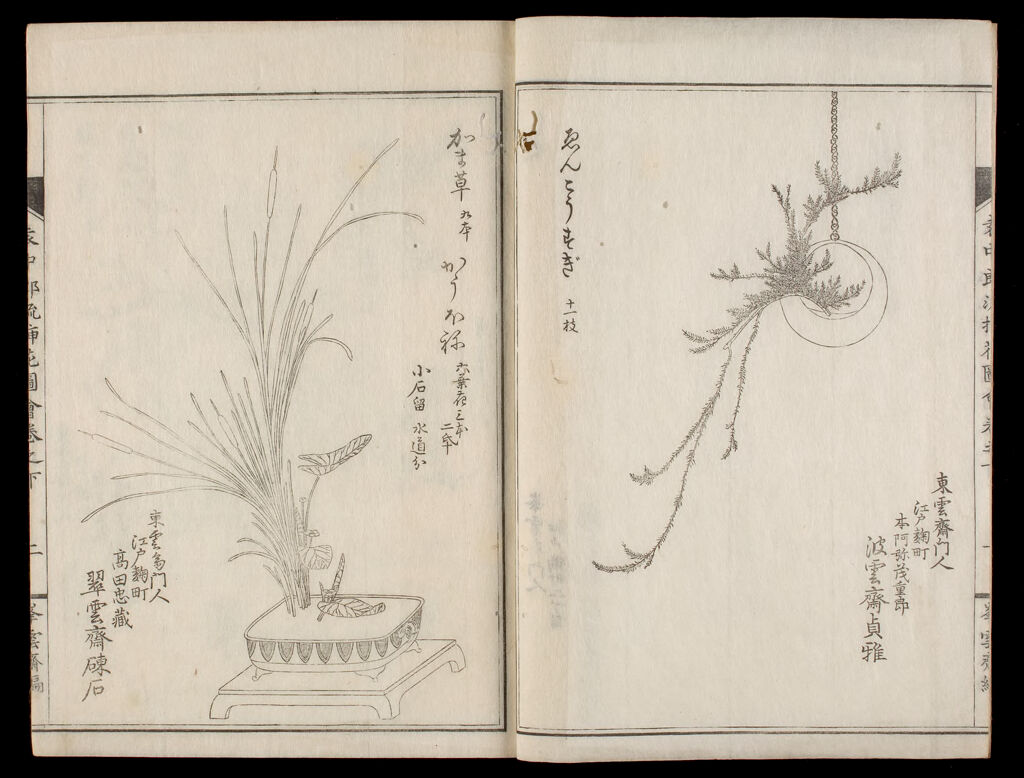 Illustrated Flower Arrangement Of The Enchūrō School (Enchūrō-Ryū Sōka Zue), 6Th Of 8 Volumes