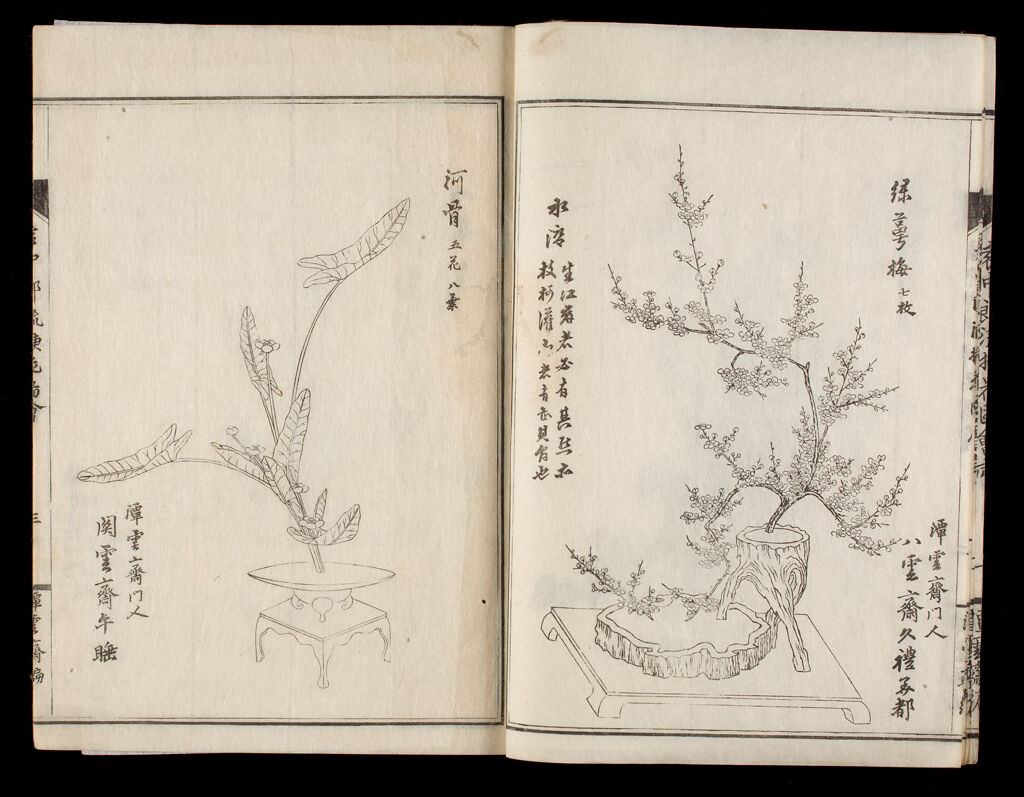 Illustrated Flower Arrangement Of The Enchūrō School (Enchūrō-Ryū Sōka Zue), 7Th Of 8 Volumes