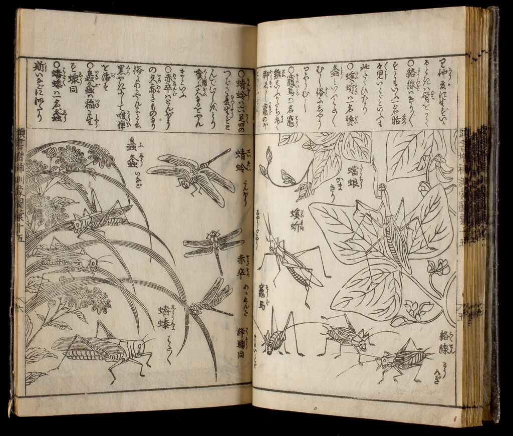 Great Illustrated Encyclopedia, Revised And Enlarged (Sōbo Tōsho Kinmō Zui Taisei), Vol. 7