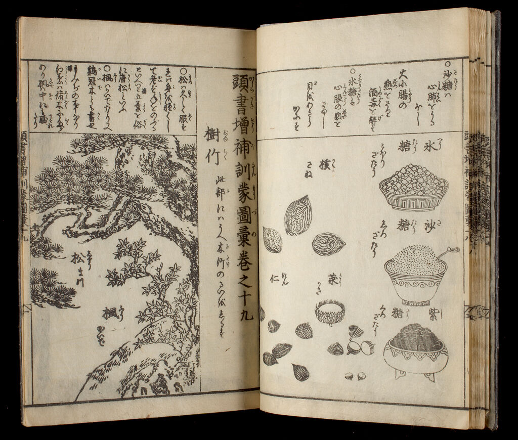 Great Illustrated Encyclopedia, Revised And Enlarged (Sōbo Tōsho Kinmō Zui Taisei), Vol. 8
