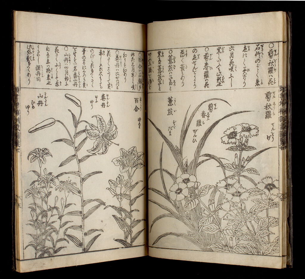 Great Illustrated Encyclopedia, Revised And Enlarged (Sōbo Tōsho Kinmō Zui Taisei), Vol. 9