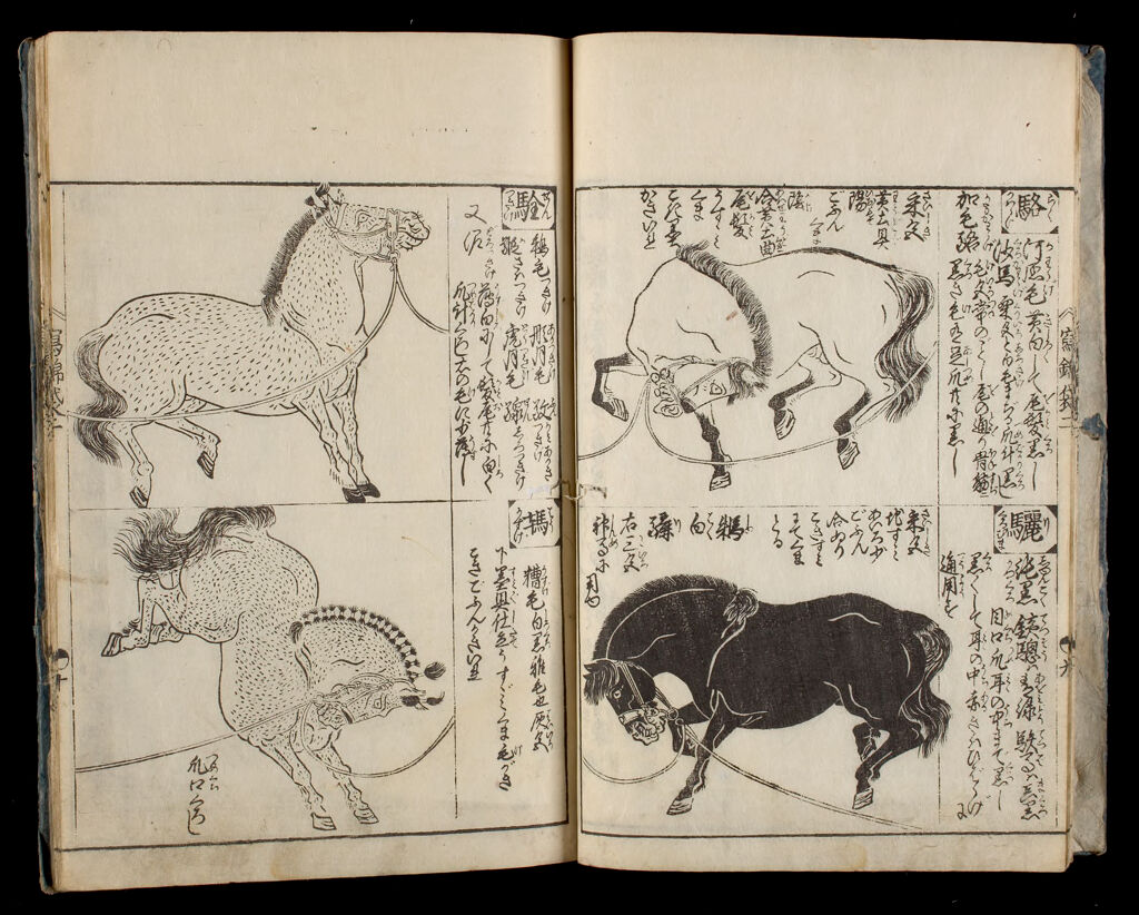 Bag Of Historical Treasures And People Of Japan And China (Ehon Shahō-Bukuro), 2Nd Of 10 Volumes