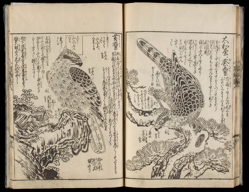 Bag Of Historical Treasures And People Of Japan And China (Ehon Shahō-Bukuro), 8Th Of 10 Volumes