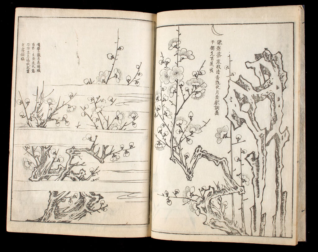 Illustrated Book Of Plant Paintings And Verse (Hasshu Gafu) 2Nd Of 8 Volumes
