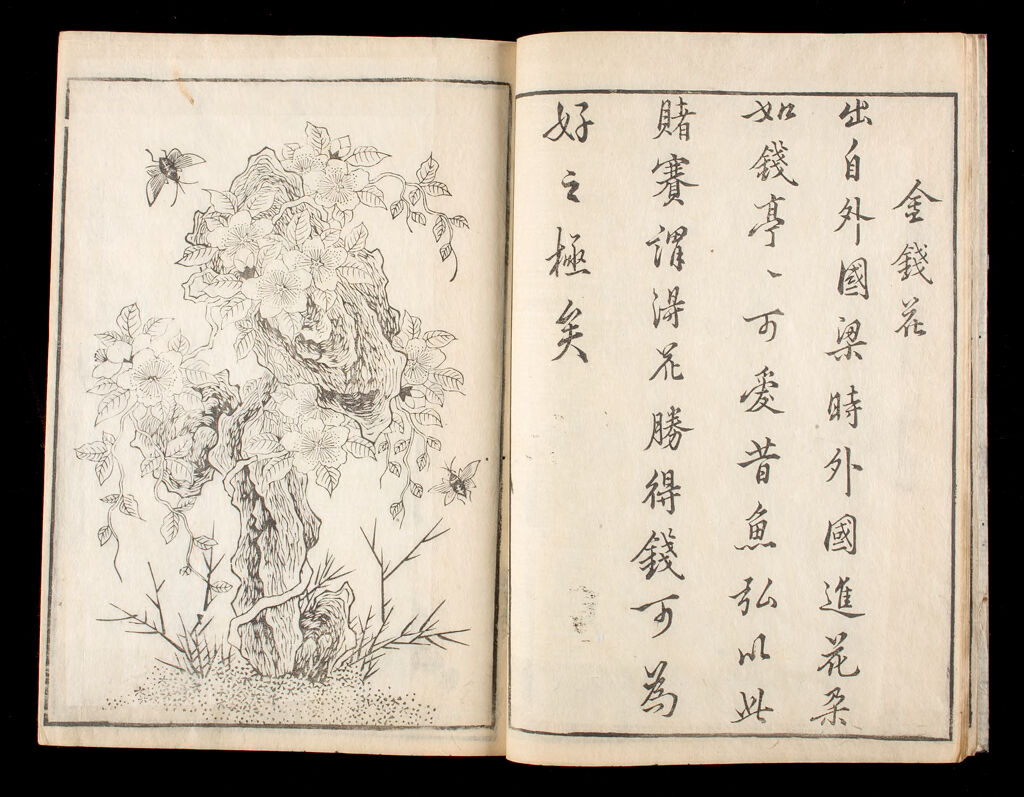 Illustrated Book Of Plant Paintings And Verse (Hasshu Gafu) 3Rd Of 8 Volumes