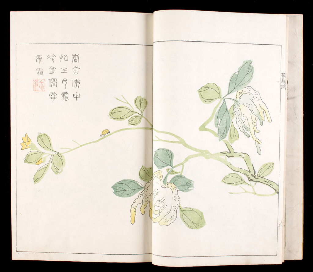 Mustard Seed Garden Compendium (Kaishien Gaden) Based On Chinese Original Of 1701, 3Rd Of 6 Volumes