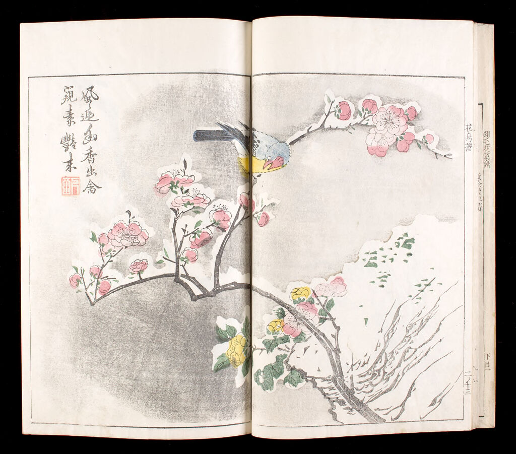 Mustard Seed Garden Compendium (Kaishien Gaden) Based On Chinese Original Of 1701, 4Th Of 6 Volumes