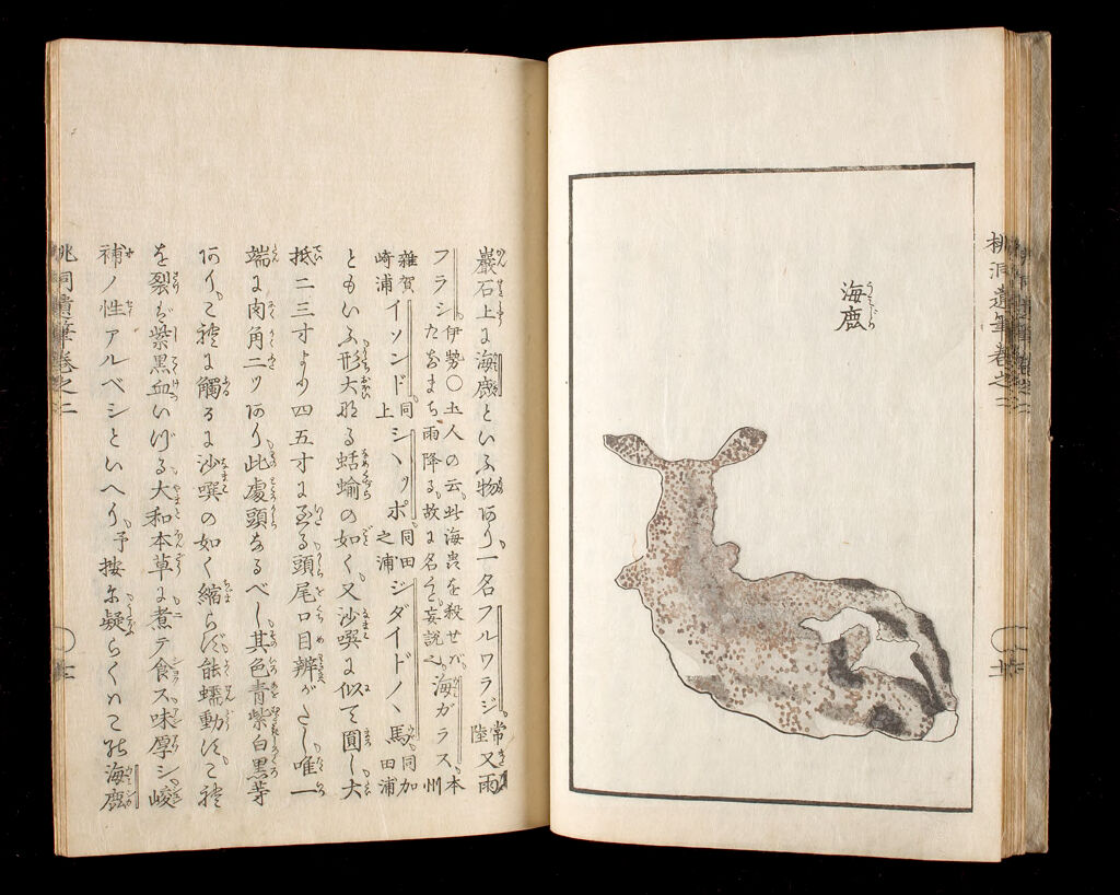 Ōhara Tōdō's Study Of Living Things (Tōdō Ihitsu), 2Nd Of 6 Volumes