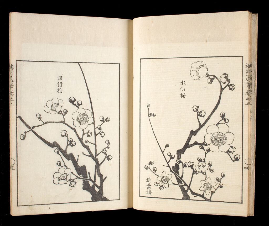 Ōhara Tōdō's Study Of Living Things (Tōdō Ihitsu), 3Rd Of 6 Volumes