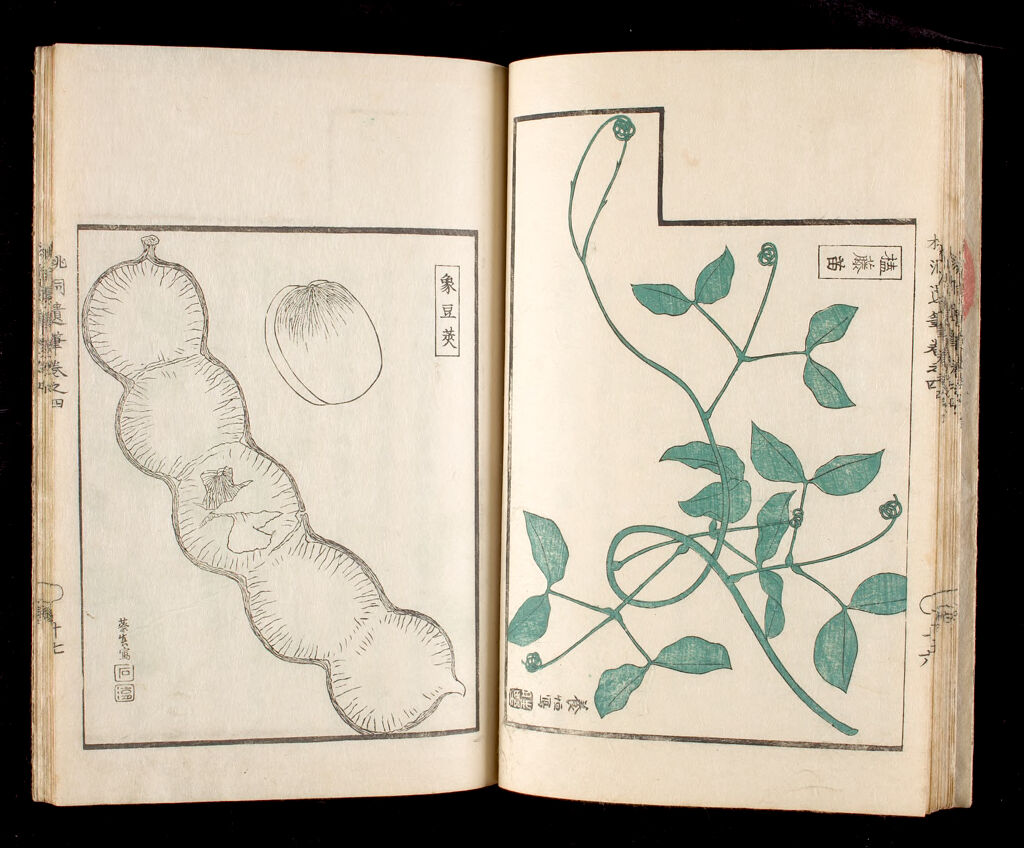Ōhara Tōdō's Study Of Living Things (Tōdō Ihitsu), 4Th Of 6 Volumes