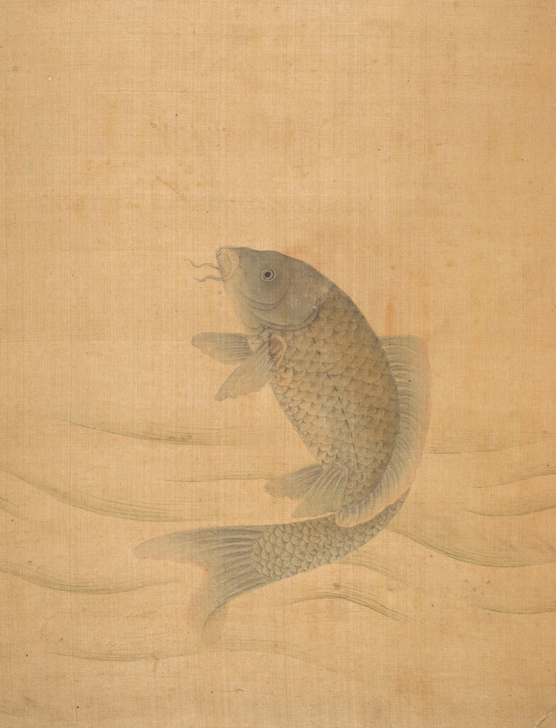 Fish, From Album Of Paintings