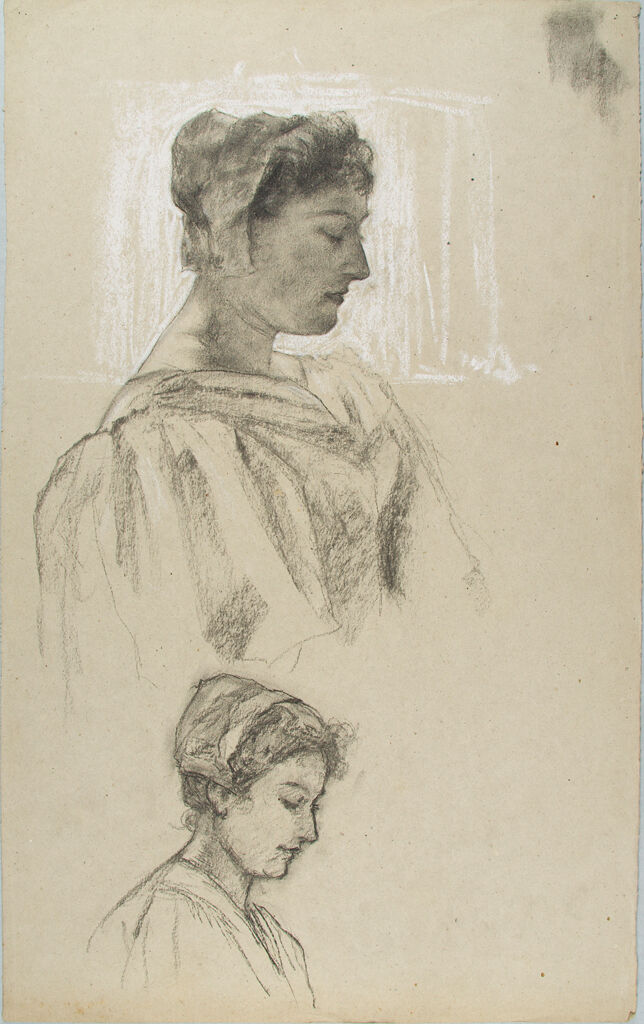 Sketches Of A Women`s Head