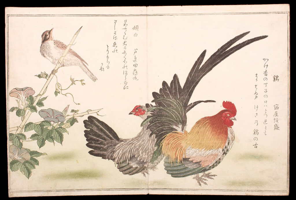 Illustrated Book Of Various Birds (Momochidori), 1St Of 2 Volumes
