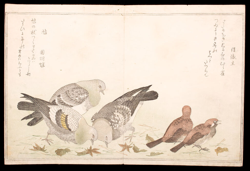 Illustrated Book Of Various Birds (Momochidori)Illustrated Book Of Various Birds (Momochidori), 2Nd Of 2 Volumes