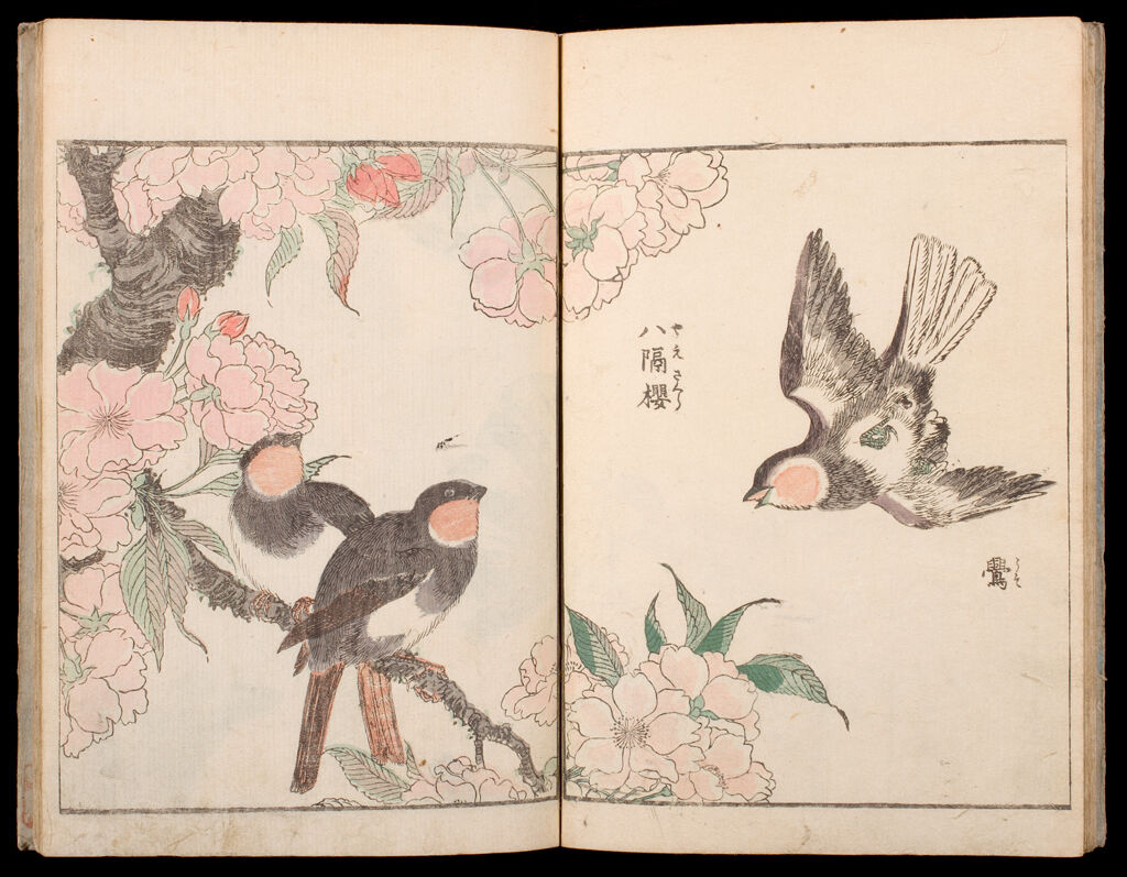 Kachō Shashin Zui (Album Of Birds And Flowers) (Vol.1)