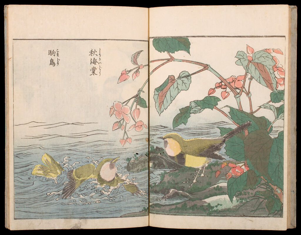 Kachō Shashin Zui (Album Of Birds And Flowers) (Vol.2)