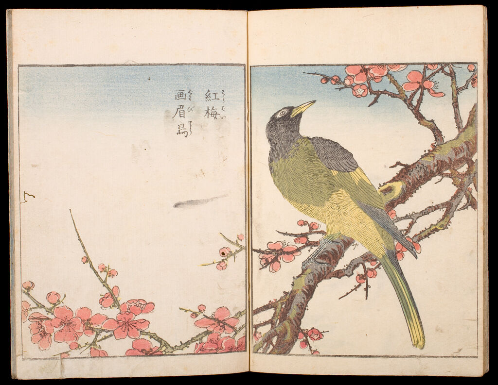 Kachō Shashin Zui (Album Of Birds And Flowers) (Vol.3)